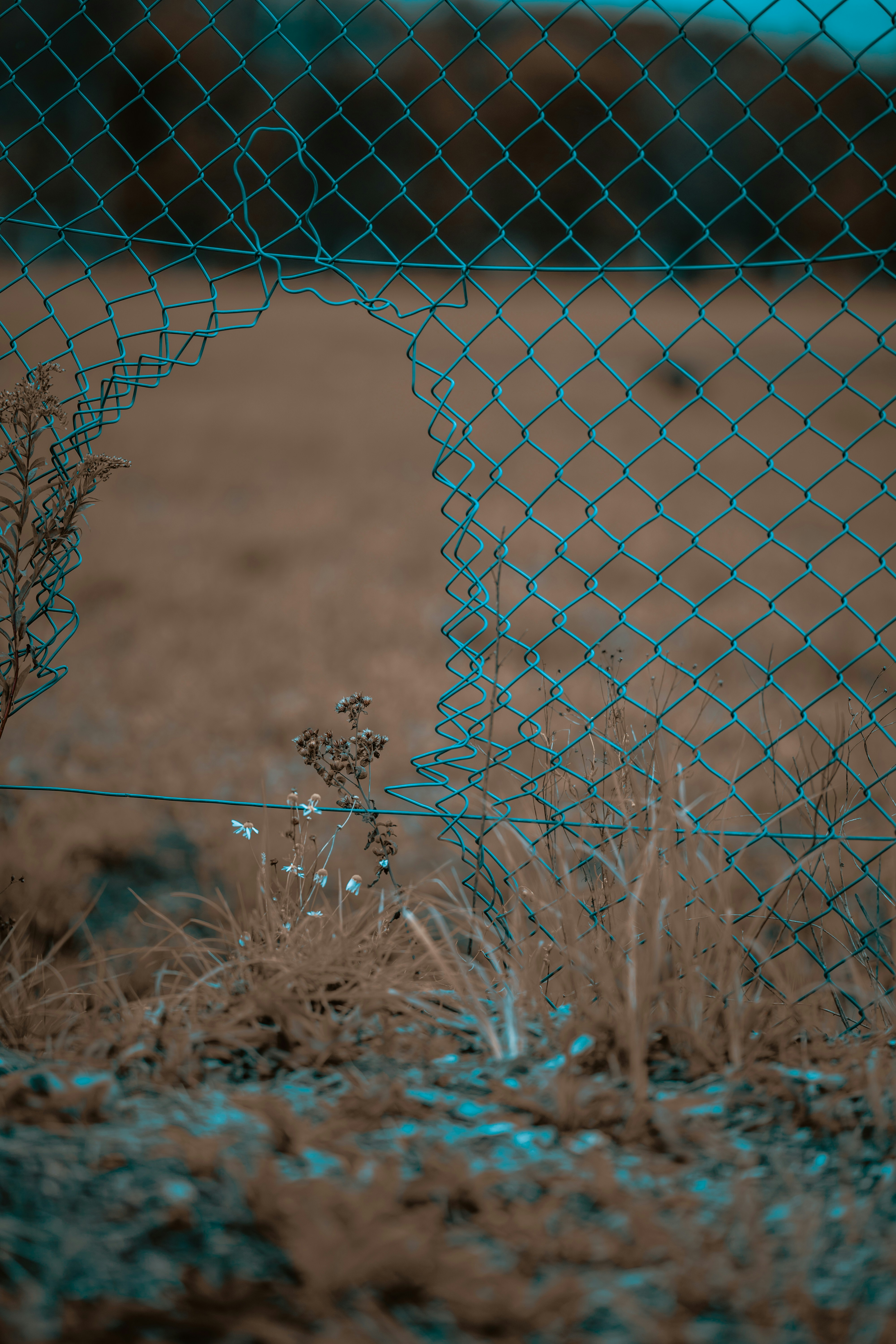 Terminal window showing a tunnel being created with a custom CLI tool.