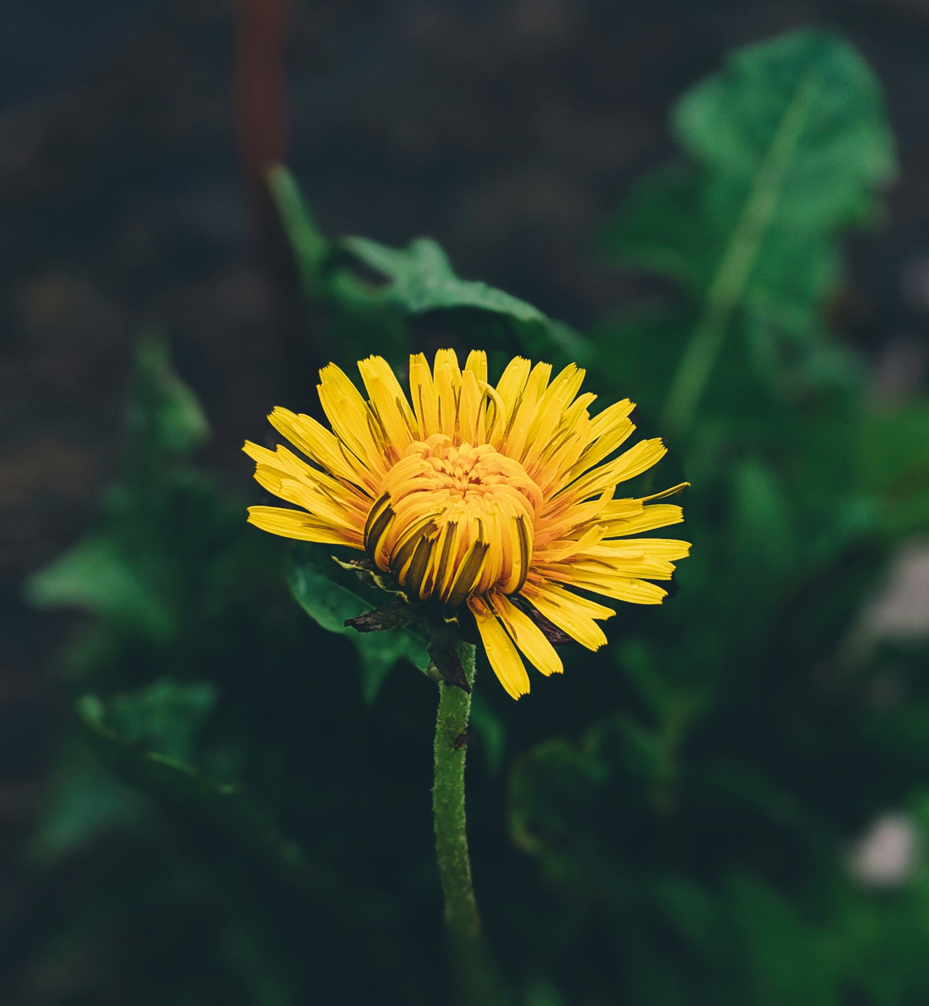 Colorful visual blocks representing code structures for smart contract generation.